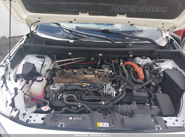 2T3RWRFV0LW073995 2020 TOYOTA RAV4 HYBRID Белый Вид сзади