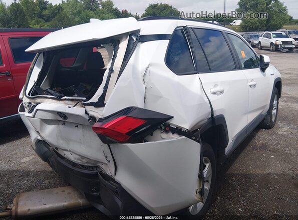 2T3RWRFV0LW073995 2020 TOYOTA RAV4 HYBRID Белый Задняя правая четверть