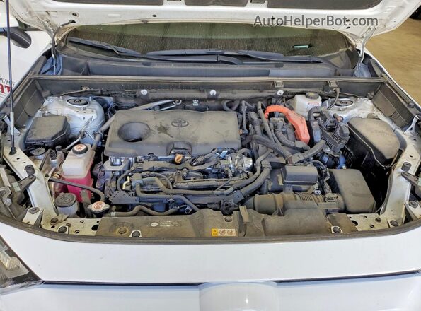 2T3RWRFV1RW198237 2024 TOYOTA RAV White Вид задньої частини салону