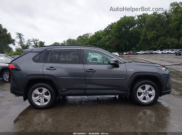 2T3RWRFV2KW016678 2019 TOYOTA RAV4 HYBRID Gray Vista interior trasera