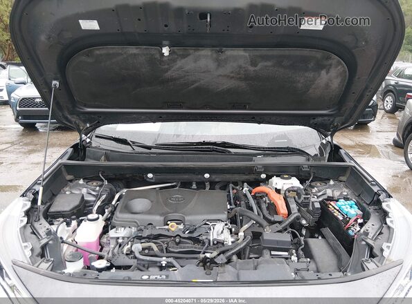 2T3RWRFV2KW016678 2019 TOYOTA RAV4 HYBRID Gray Vista trasera
