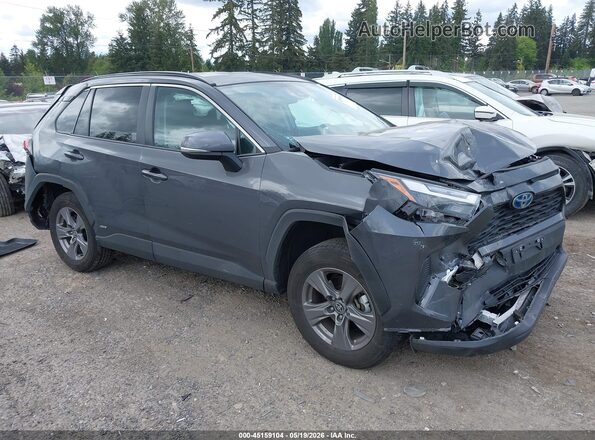 2T3RWRFV5RW209451 2024 TOYOTA RAV4 HYBRID Gray 