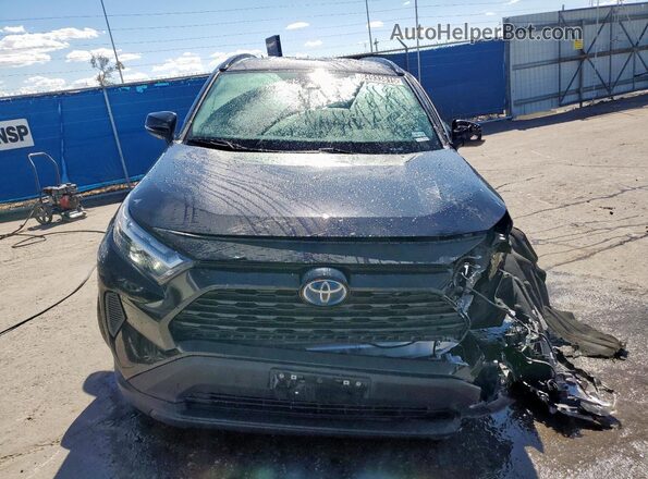 2T3RWRFV6PW175839 2023 TOYOTA RAV4 Black 