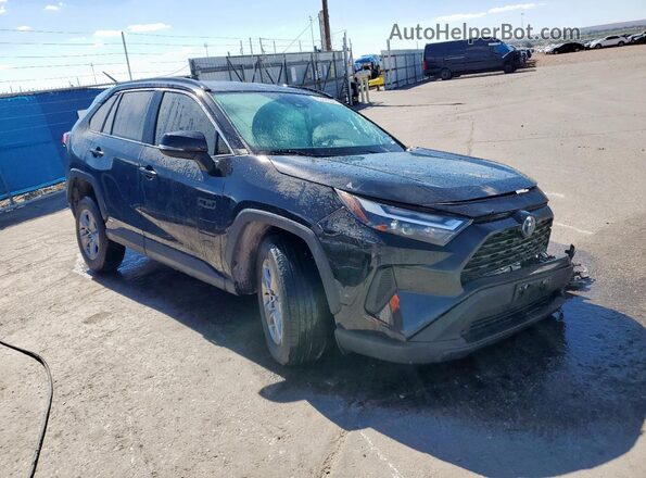 2T3RWRFV6PW175839 2023 TOYOTA RAV4 Black 