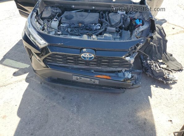 2T3RWRFV6PW175839 2023 TOYOTA RAV4 Black 