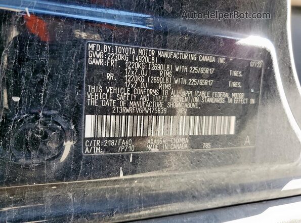 2T3RWRFV6PW175839 2023 TOYOTA RAV4 Black 