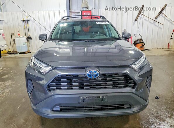 2T3RWRFV8RW203529 2024 TOYOTA RAV4 Gray 