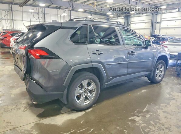 2T3RWRFV8RW203529 2024 TOYOTA RAV4 Gray 
