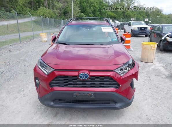 2T3RWRFV9KW031985 2019 TOYOTA RAV4 HYBRID Burgundy 