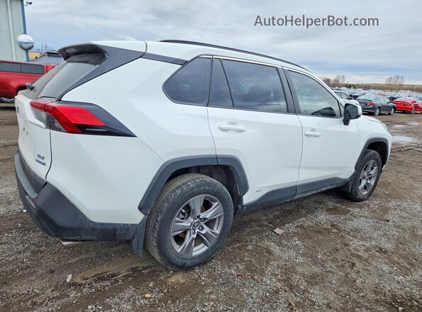 2T3RWRFVXPW181269 2023 TOYOTA RAV4 White Tył prawy
