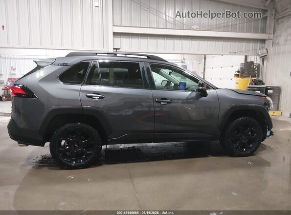 2T3S1RFV3PW359717 2023 TOYOTA RAV4 Серый Панорамный вид салона 360°