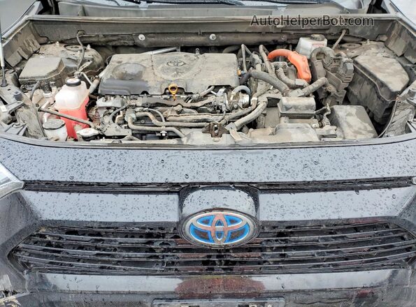 2T3T6RFV1NW030176 2022 TOYOTA RAV4 Black Widok wnętrza z tyłu