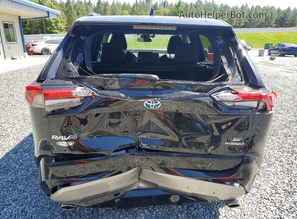 2T3T6RFV7RW062491 2024 TOYOTA RAV4 Black 