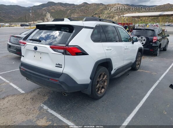 2T3UWRFV1PW160949 2023 TOYOTA RAV4 HYBRID White უკანა მარჯვენა