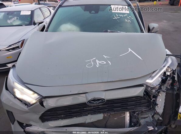 2T3W1RFV0PW287635 2023 TOYOTA RAV4 Gray Вид ззаду