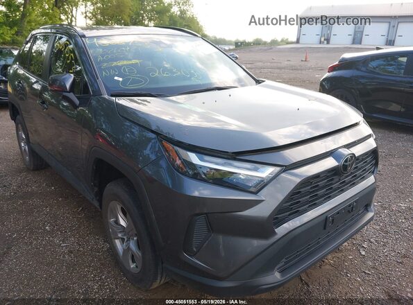 2T3W1RFV0RC263033 2024 TOYOTA RAV4 Серый 