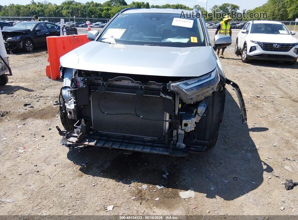 2T3W1RFV0RW314481 2024 TOYOTA RAV4 Silver 