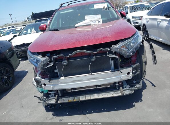 2T3W1RFV1LW075496 2020 TOYOTA RAV4 Red უკანა სალონის ხედი