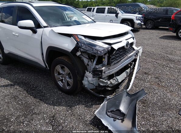 2T3W1RFV1PW245541 2023 TOYOTA RAV4 Белый Вид спереди