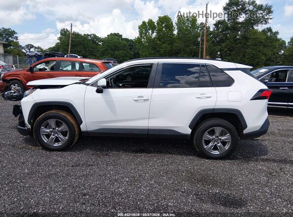 2T3W1RFV1PW245541 2023 TOYOTA RAV4 Белый Панорамный вид салона 360°