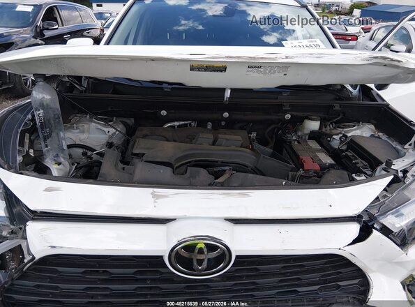 2T3W1RFV1PW245541 2023 TOYOTA RAV4 Белый Вид сзади