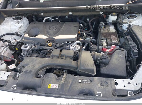 2T3W1RFV2PC243377 2023 TOYOTA LE White Հետևի տեսք
