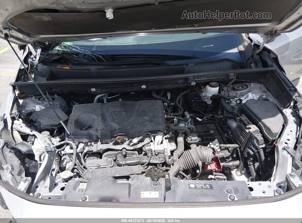 2T3W1RFV4LC070004 2020 TOYOTA RAV4 Серебряный Вид сзади