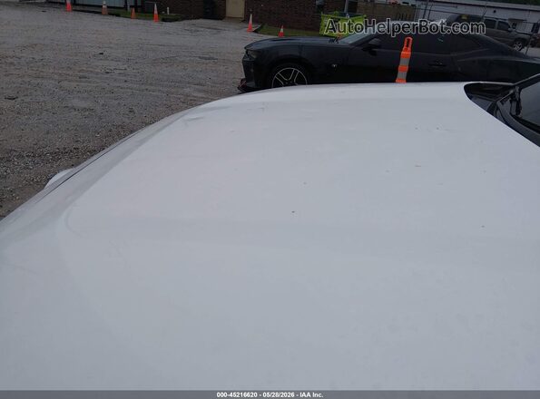 2T3W1RFV5PW268255 2023 TOYOTA RAV4 White 