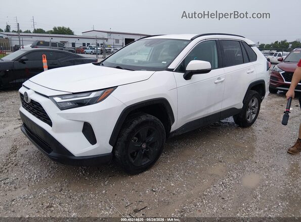 2T3W1RFV5PW268255 2023 TOYOTA RAV4 White 