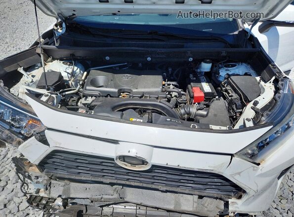 2T3W1RFV6KC024169 2019 TOYOTA RAV4 White 