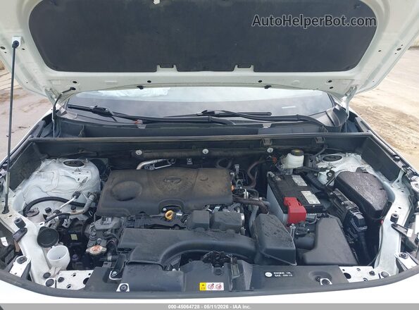 2T3W1RFV6RW325016 2024 TOYOTA LE Белый Вид сзади