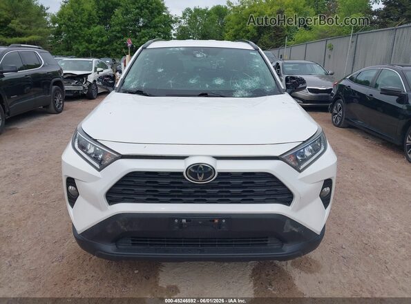 2T3W1RFV8LC044425 2020 TOYOTA RAV4 White 