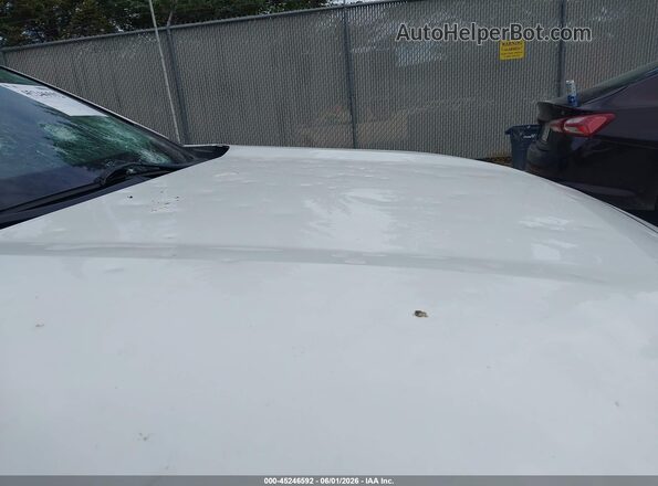 2T3W1RFV8LC044425 2020 TOYOTA RAV4 White 