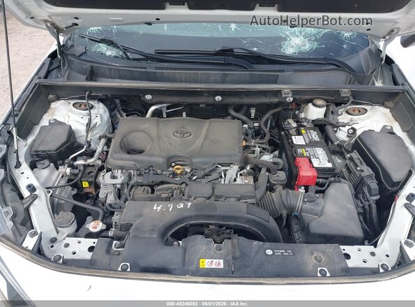 2T3W1RFV8LC044425 2020 TOYOTA RAV4 White 