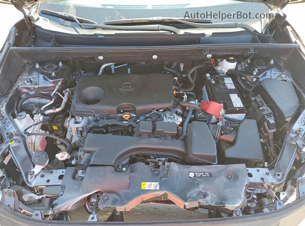 2T3W1RFV8SC346571 2025 TOYOTA RAV4 Gray Vista interior trasera
