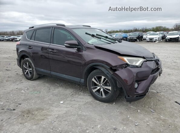 2T3WFREV2JW431244 2018 TOYOTA RAV4 Фиолетовый 