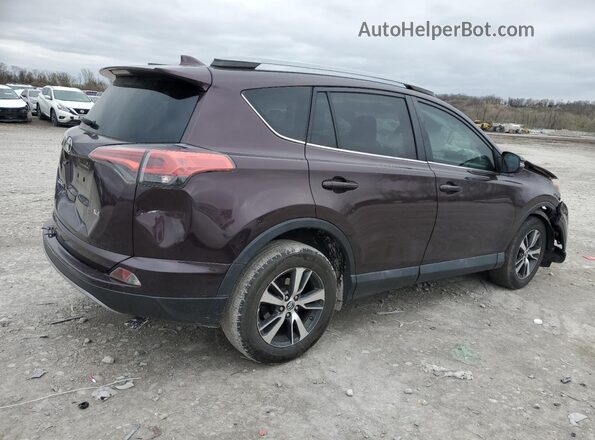2T3WFREV2JW431244 2018 TOYOTA RAV4 Фиолетовый 