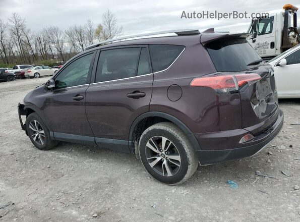 2T3WFREV2JW431244 2018 TOYOTA RAV4 Фиолетовый 