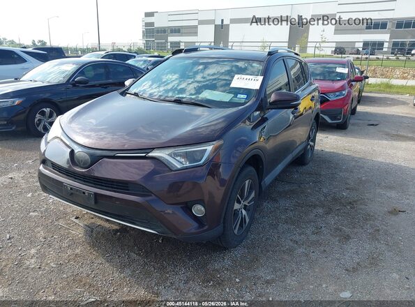2T3WFREV5GW296625 2016 TOYOTA RAV4 Purple Vista tres cuartos delantera izquierda