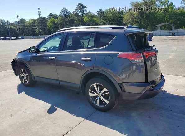 2T3WFREV5HW337904 2017 TOYOTA RAV4 Gray 