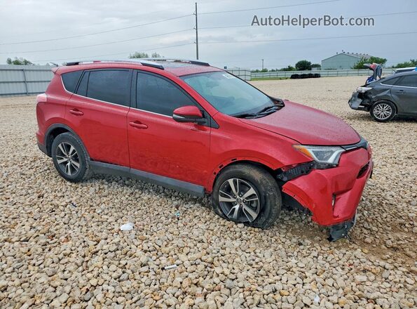 2T3WFREV7GW289174 2016 TOYOTA RAV4 Red 