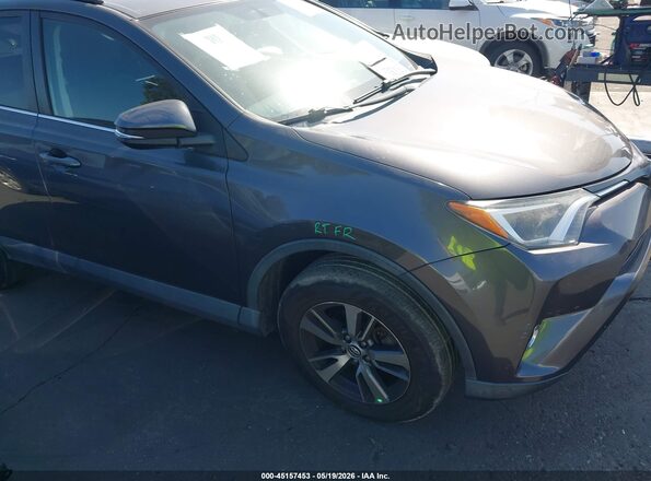 2T3WFREV8GW242526 2016 TOYOTA RAV4 Gray Widok wnętrza 360 stopni