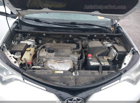 2T3WFREVXGW269405 2016 TOYOTA RAV4 White Вид ззаду