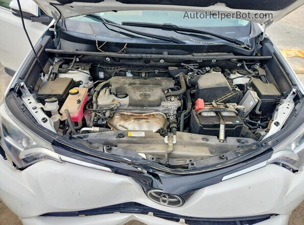 2T3WFREVXHW395877 2017 TOYOTA RAV4 White 