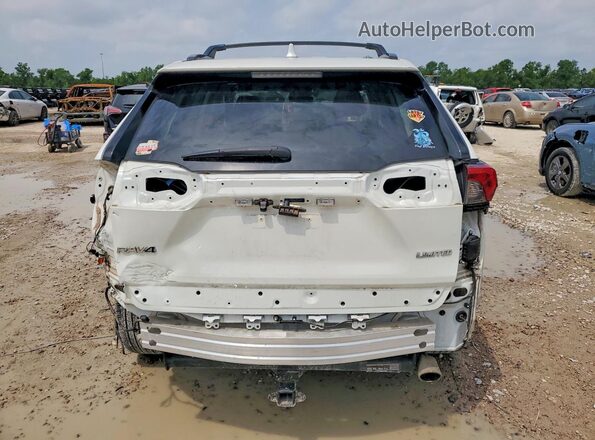 2T3Y1RFV0KW039130 2019 TOYOTA RAV4 Белый Вид сзади