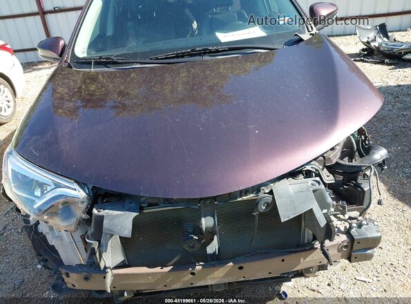 2T3YFREV7HW378768 2017 TOYOTA RAV4 Purple უკანა სალონის ხედი