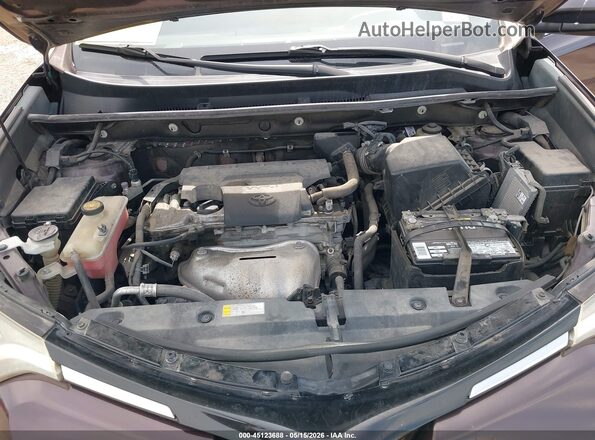 2T3ZFREV3HW372602 2017 TOYOTA RAV4 Бордовый Вид сзади