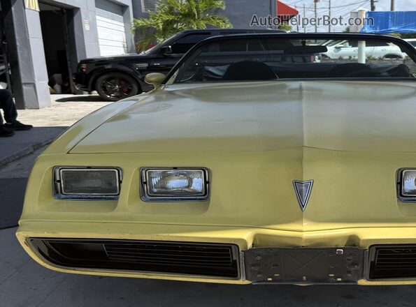 2T87Y9N192524     1979 PONTIAC FIREBIRD Желтый Вид спереди