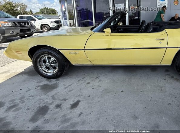 2T87Y9N192524     1979 PONTIAC FIREBIRD Желтый Задняя левая четверть