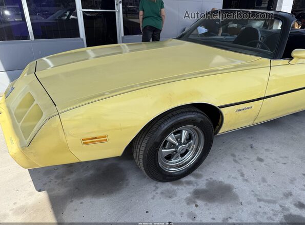 2T87Y9N192524     1979 PONTIAC FIREBIRD Желтый 